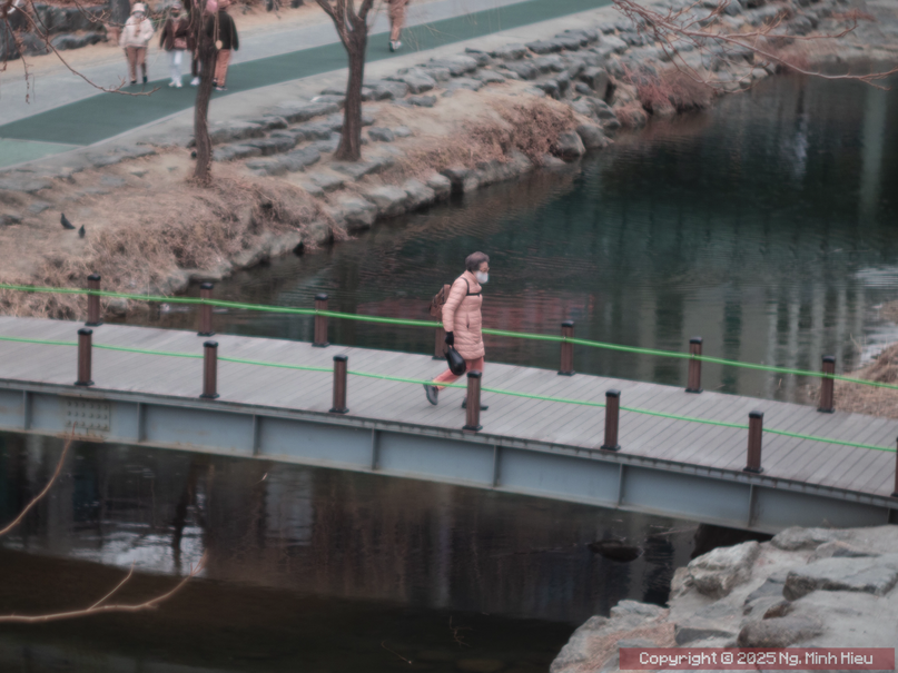 wm_00001