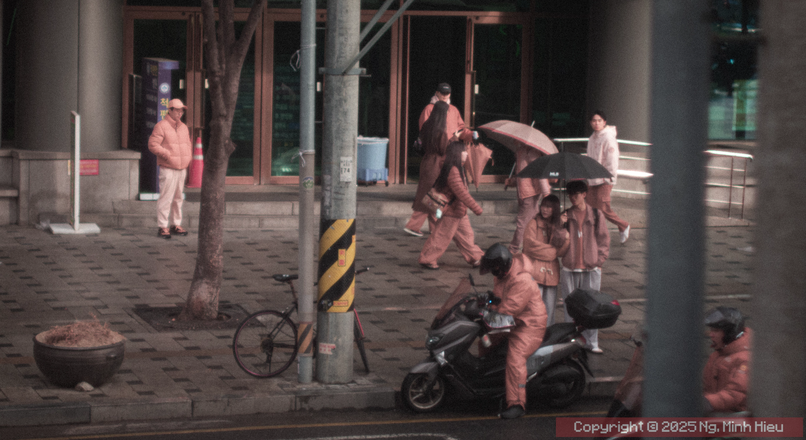 wm_00003